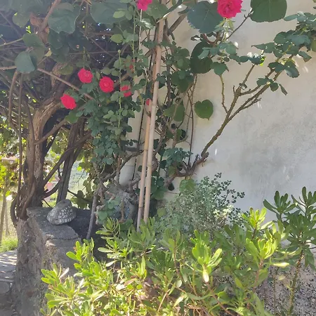 Appartement Casa Bartola *