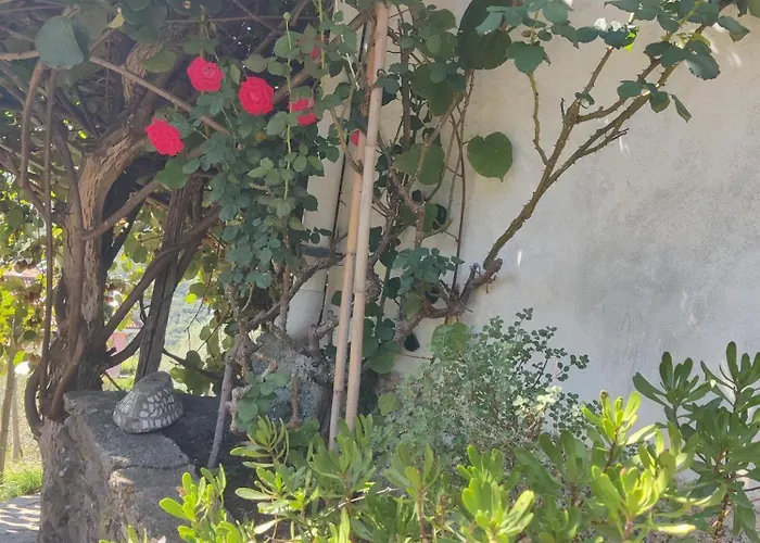 דירה Casa Bartola *