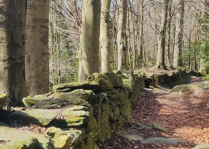 Casa Bartola דירה