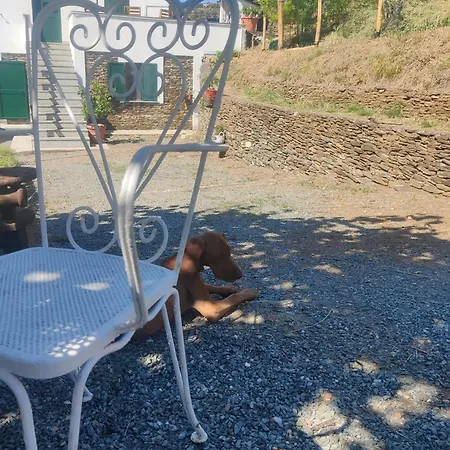 Casa Bartola * Stella