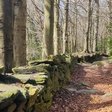 Casa Bartola アパート