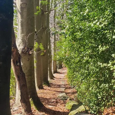 Apartamento Casa Bartola *