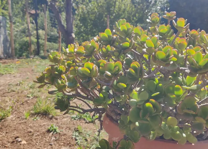 Casa Bartola Lägenhet Stella