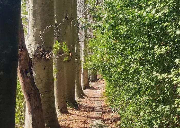 Appartement Casa Bartola *